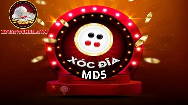 Giới thiệu xóc đĩa MD5